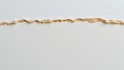 Torn paper edge texture with natural roughness and subtle beige color against a plain white background