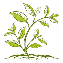 Illustration of a young plant growing from the ground, representing vitality
