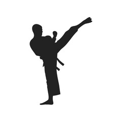 silhouette of a martial artist