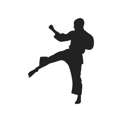 silhouette of a martial artist