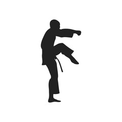 silhouette of a martial artist