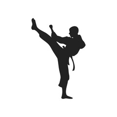 silhouette of a martial artist