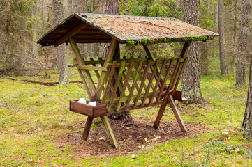 Wooden feeder for animals in forest clearing, calm outdoor autumn scenery.