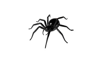Obraz premium Black Spider: a detailed studio shot of a black spider standing, ready to pounce and showcase arachnid detail and the power of this arthropod