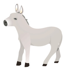 Domestic donkey isolated. vector illustration	