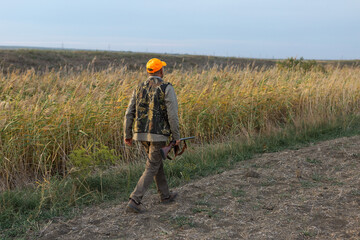 Obraz premium Mature man hunter with gun while walking on field.