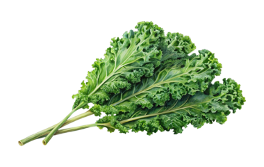 Three vibrant kale leaves displayed against a striking black background, fresh and nutritious