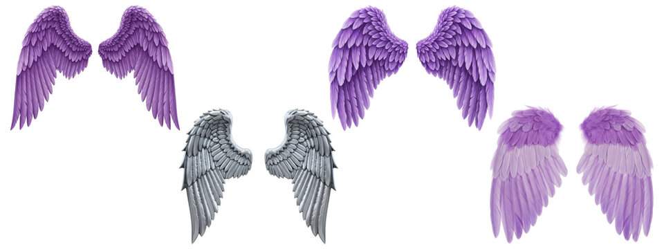 A fantasy collection of purple and silver angel wings with detailed feathers