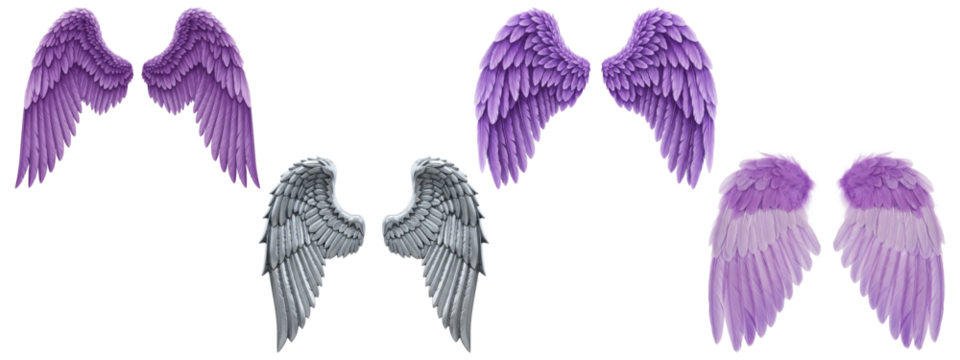 A fantasy collection of purple and silver angel wings with detailed feathers