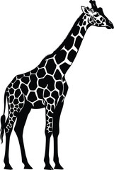 Naklejka premium Detailed Black and White Giraffe Vector Illustration with Distinctive Spot Pattern Standing Tall, AI Generative