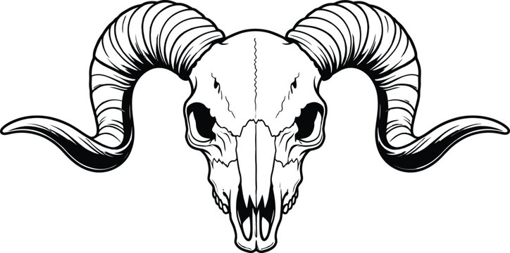 Detailed Ram Skull Vector Illustration with Large Spiral Horns in Black and White Outline for Vintage or Tattoo Design, AI Generative