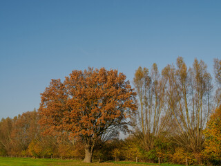 Das Münserland im Herbst