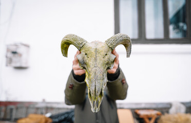 Fototapete bei efototapeten.de bestellen   