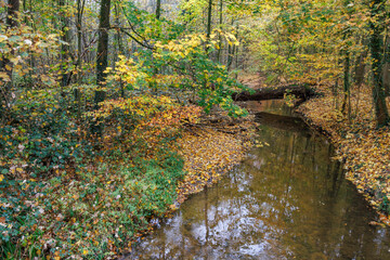 Obraz premium Herbstzeit im Münsterland in der Nähe von Velen