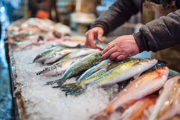 Fresh fish displayed on ice at a bustling market in the morning with a vendor preparing to serve customers