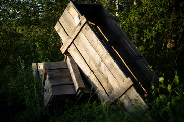 Old crates. Board crates in the woods. Dump in the forest.
