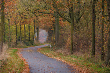 Herbstzeit im Münsterland in der Nähe von Velen