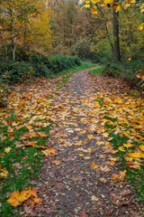 Herbstzeit im M&uuml;nsterland in der N&auml;he von Velen