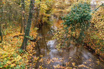 Herbst im M&uuml;nsterland