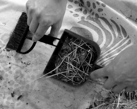 Black and white overhead view of hands sweeping up dirt, debris, and straw with a small dustpan and brush on a patterned surface.