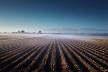 Sea-Fog Inversion Lifting From Coastal Potato Plots, Turbine Shadows And Winter Sun Break, Oblique Aerial With Hedgerow Tracks