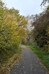 Ravel traversant un bois en automne à Écaussinnes-Lalaing (Soignies)