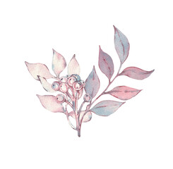 A watercolor composition with pink and purple twigs and berries. Hand-drawn illustration for life and design. Pink, blue, and purple hues in the twigs and leaves, purple berries. A bouquet of leaves.