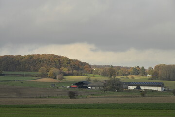 Lumi&egrave;re du coucher de soleil sur le bois de la Houssi&egrave;re &agrave; Braine-le-Comte (Soignies)
