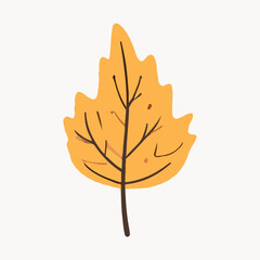 Obraz premium orange and yellow dry leaf. maple autumn leaf watercolor collection design