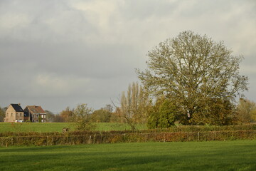 Obraz premium Paysage rural sous un ciel gris et une éclaircie, à Écaussinnes d'Enghien (Soignies)