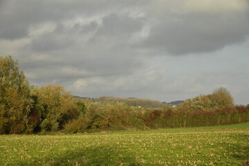 Fototapeta premium Prairies et bois en automne sous un ciel nuageux à Écaussinnes d'Enghien (Soignies)