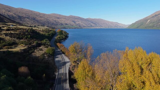 beautiful drone view road trip route from Queenstown to te anau along Wakatipu lake in autumn season we can see a lot of colorful autumn leaves in South Island New Zealand 