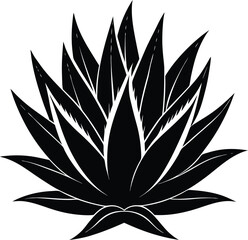 Black silhouette of an agave plant isolated on white background