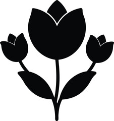 Three tulip flowers silhouette isolated on white background