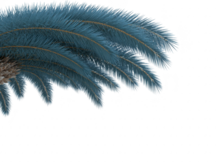 Tropical palm leaf with lush green fronds, detailed texture, and natural sunlight, creating relaxing and exotic atmosphere, perfect for summer or vacation themes