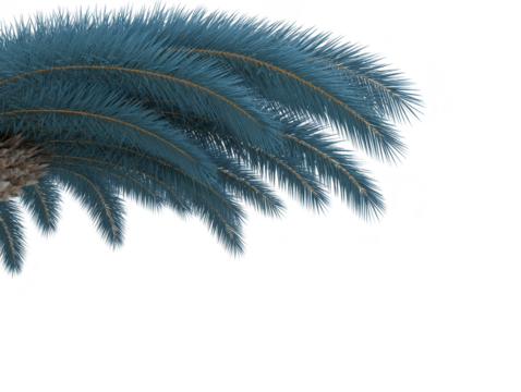 Tropical palm leaf with lush green fronds, detailed texture, and natural sunlight, creating relaxing and exotic atmosphere, perfect for summer or vacation themes