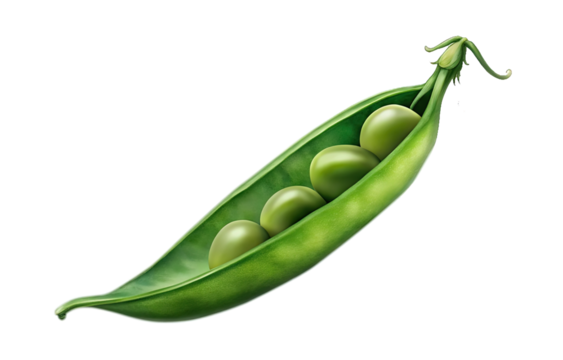 Closeup view of three green peas inside a vibrant green pod