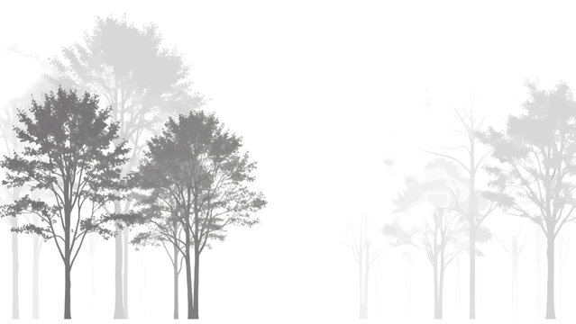 Vector illustration&nbsp;of misty forest scene with layered trees and soft light on a white background