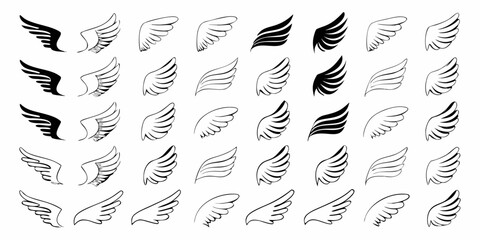 Collection of hand drawn wing illustrations in various styles and designs