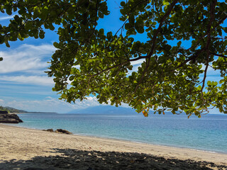 Beautiful tropical beach with green trees offering cool shade on a bright sunny day