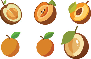 sapodilla full and half cut different cutting vector illustration set 
