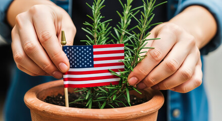 Hands placing US flag in rosemary planter, concept of veterans day remembrance. November 11