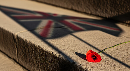Poppy on stone steps casts flag shadow, veterans day remembrance. November 11.