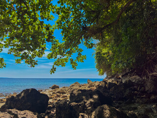 Discover tranquil turquoise waters through lush green foliage on a sunny tropical day