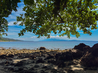 Discover a secluded beach paradise with turquoise waters and lush greenery overhead