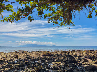 Stunning ocean view framed by lush green trees on a rocky beach under a vibrant blue sky