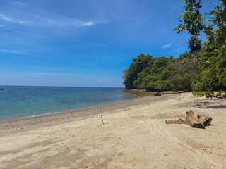 Escape to a tranquil beach paradise with pristine sands and lush tropical greenery today