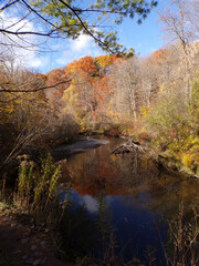 Fall landscape with colorful trees and river