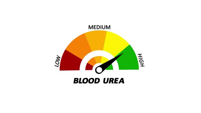 Blood urea level meter moving from high level to normal level, ideal for concepts renal health, and medical diagnostics animation.