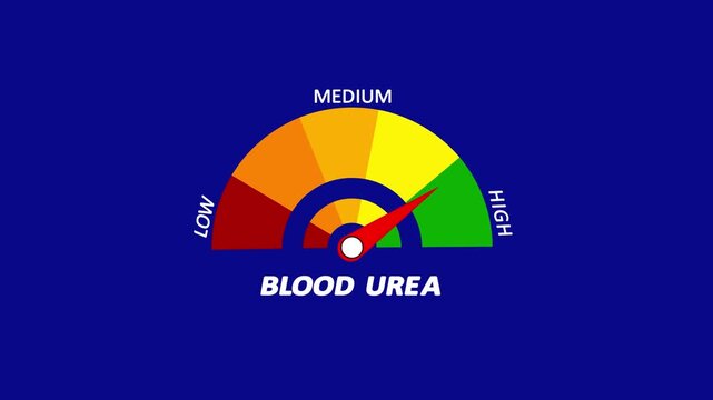 Blood urea level meter moving from high level to normal level, ideal for concepts renal health, and medical diagnostics animation.